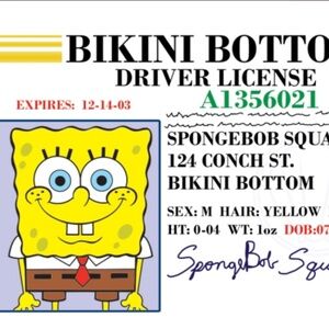 SpongeBob and Friends 6 Pack Laminated Id Card/Drivers Licenses 3.4”x 2.2”